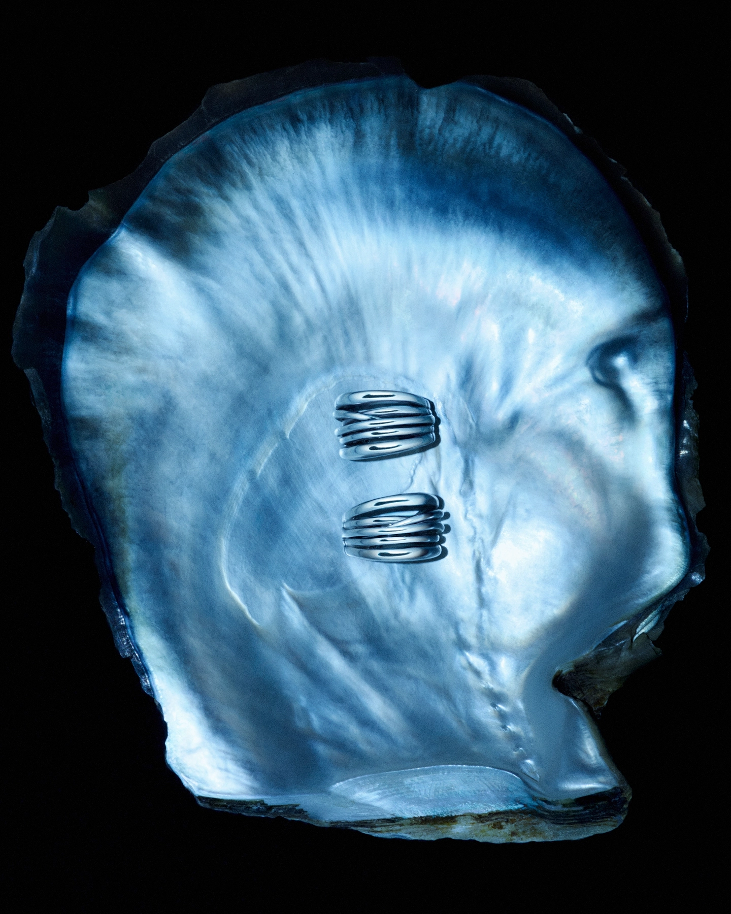 Face reflected through iridescent blue shell with silver hair clips on black background for 5 Eleven Magazine Corals series, makeup by Karissa McLaren